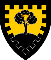 Arms Image